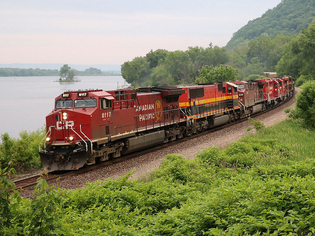 CP 8117
